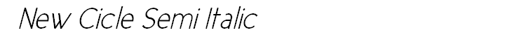 New Cicle Semi Italic