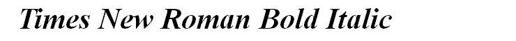 Times New Roman Bold Italic