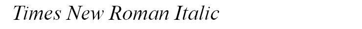 Times New Roman Italic